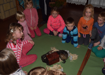 DSC_0561 - kopie