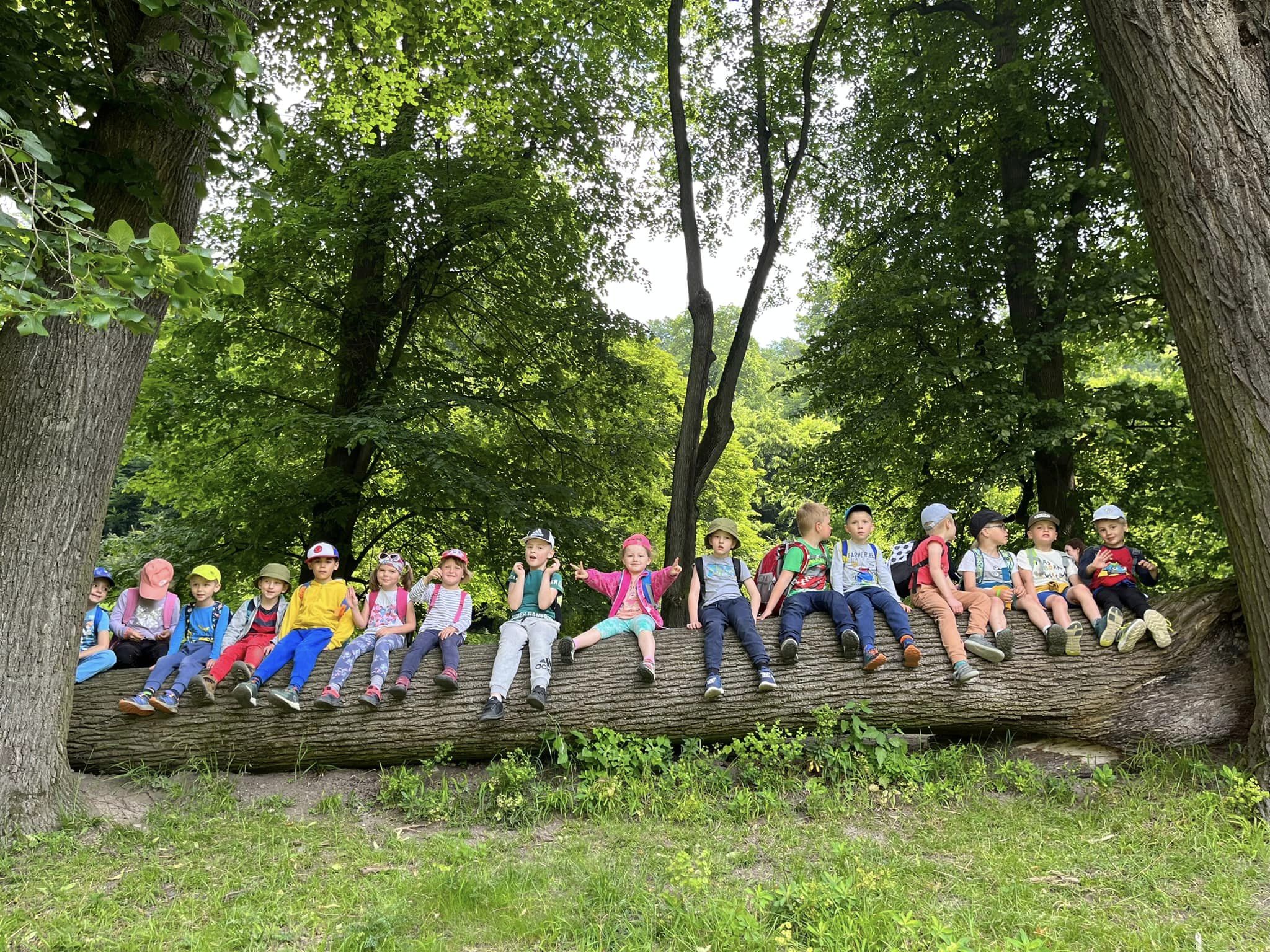 347256262_6461166737283573_513556024380142685_n